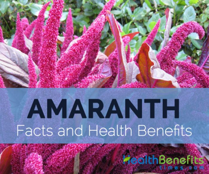 Amaranth degree study guide pdf