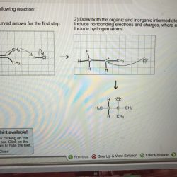 Draw both the organic and inorganic intermediate species