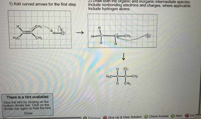 Draw both the organic and inorganic intermediate species