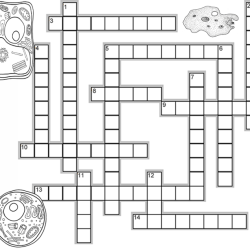 Answer key cell organelle crossword puzzle answers