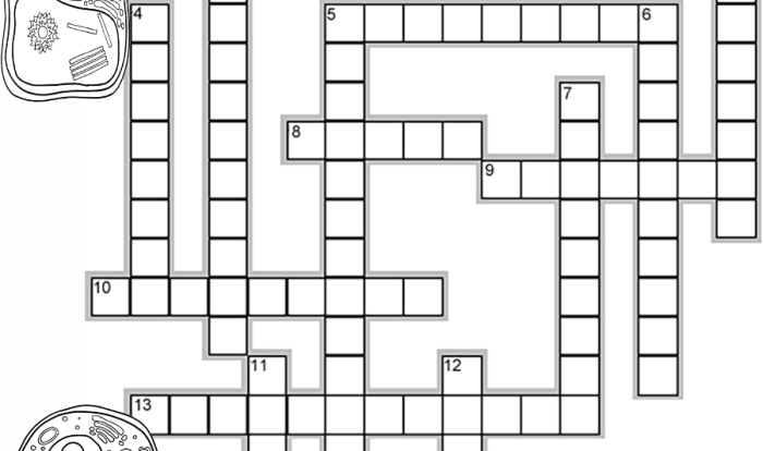 Answer key cell organelle crossword puzzle answers