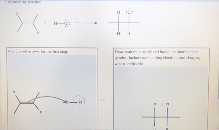 Draw both the organic and inorganic intermediate species