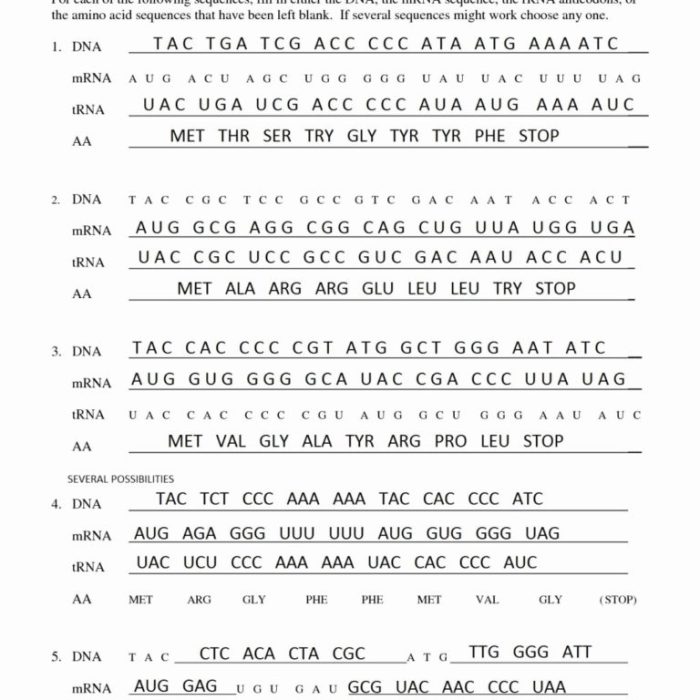 Translation and transcription worksheet answer key